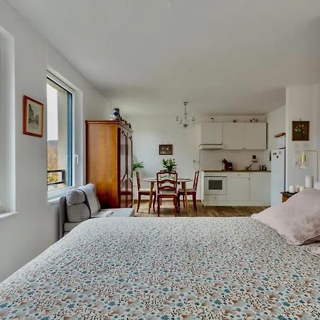 Appartement Nid Calme Petite France Strasbourg